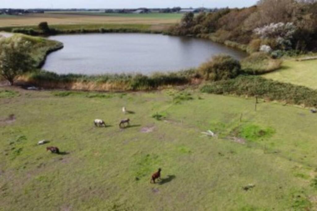 B&B Hoeve Dijkstal Logeren Op De Boerderij Sint Maarten Exterior foto